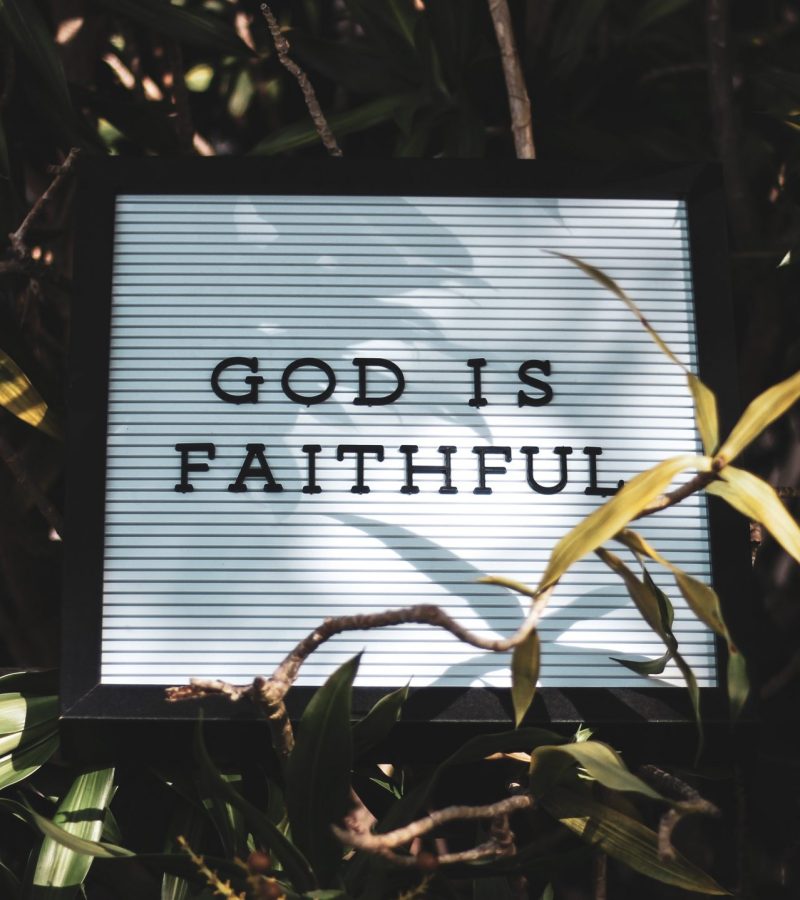 tony-eight-media-iy34kwDyJ4E-unsplash